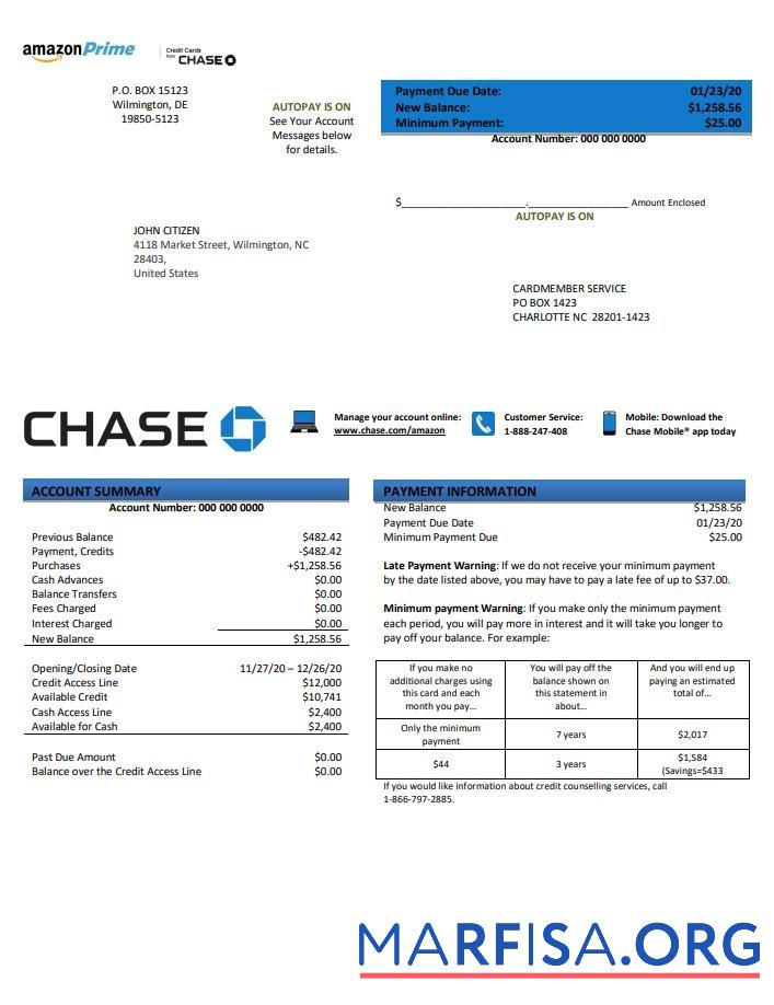 Printable USA Chase bank credit card statement word example